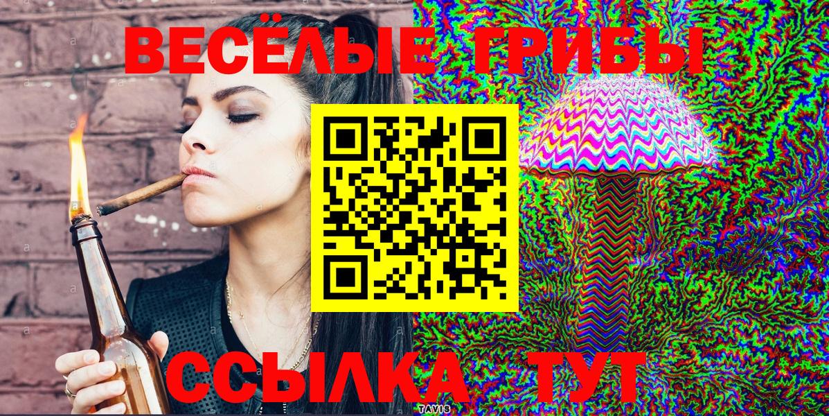 Галлюциногенные грибы мицелий  Вход с VPN  Елизово 